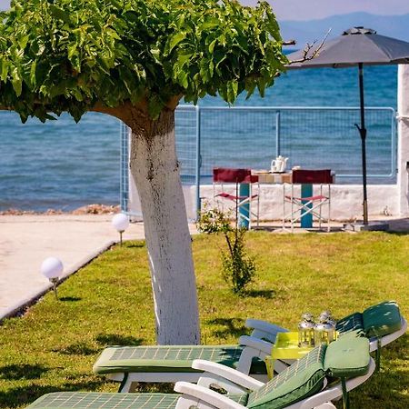 Kiko, The Coastline House Villa Kato Achaia Eksteriør billede