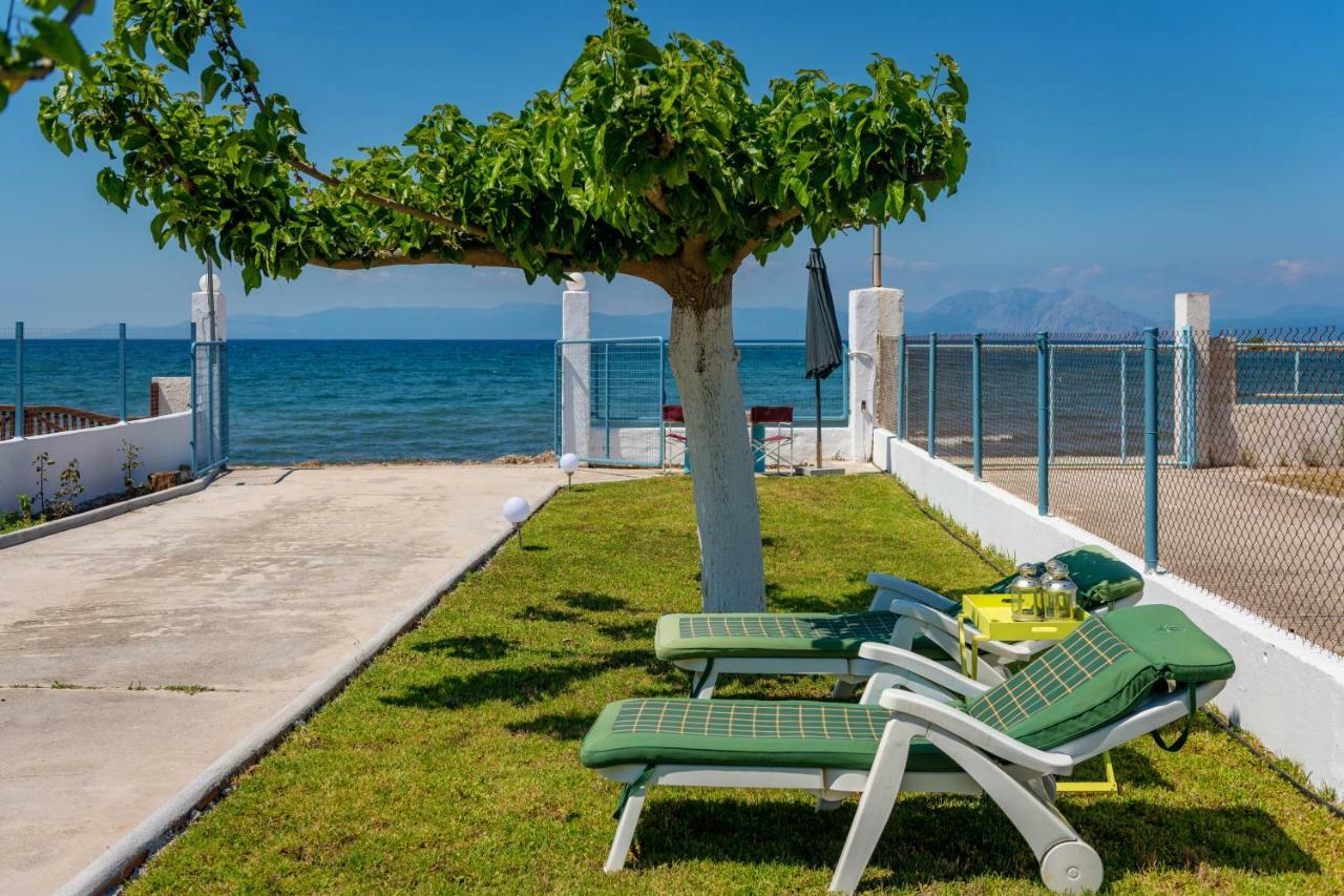 Kiko, The Coastline House Villa Kato Achaia Eksteriør billede