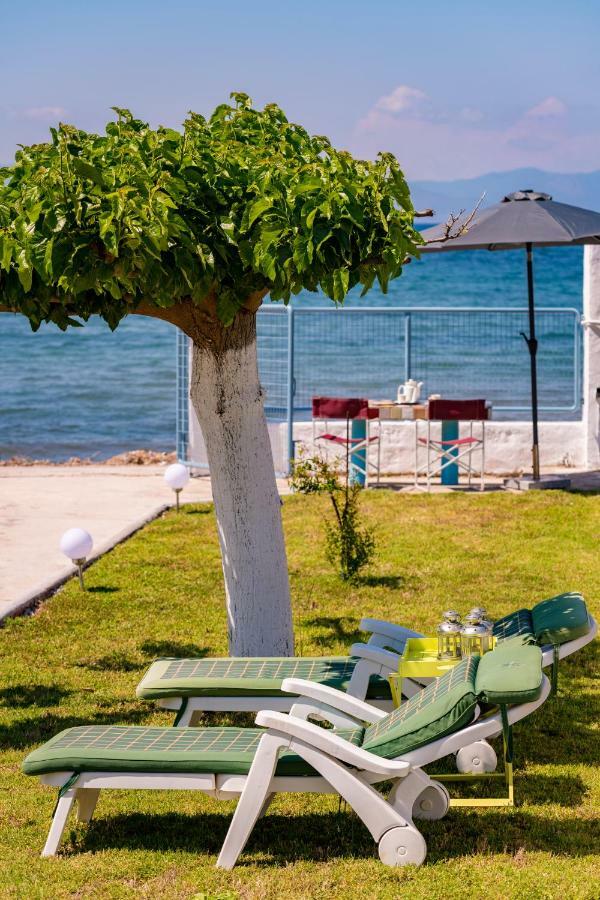 Kiko, The Coastline House Villa Kato Achaia Eksteriør billede